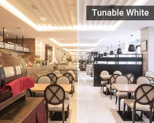 Tunable white LED strips