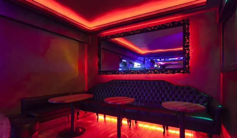 flexible LED strip lighting used in restaurant (16)