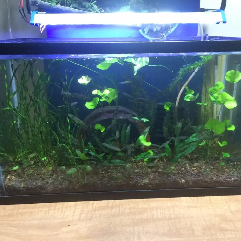 LED strip light for aquarium lighting 1