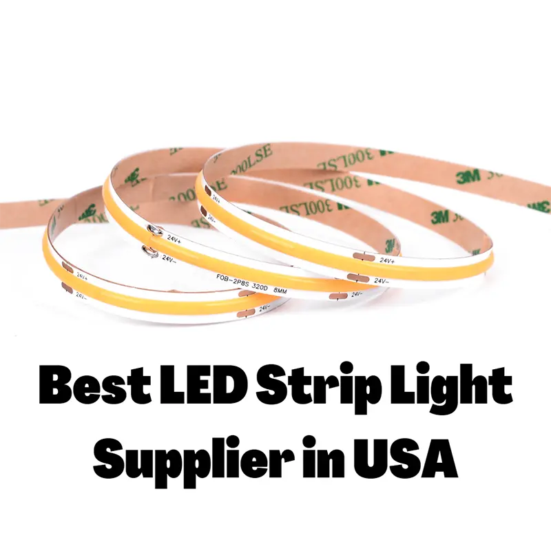 Best LED Strip Light Supplier in USA