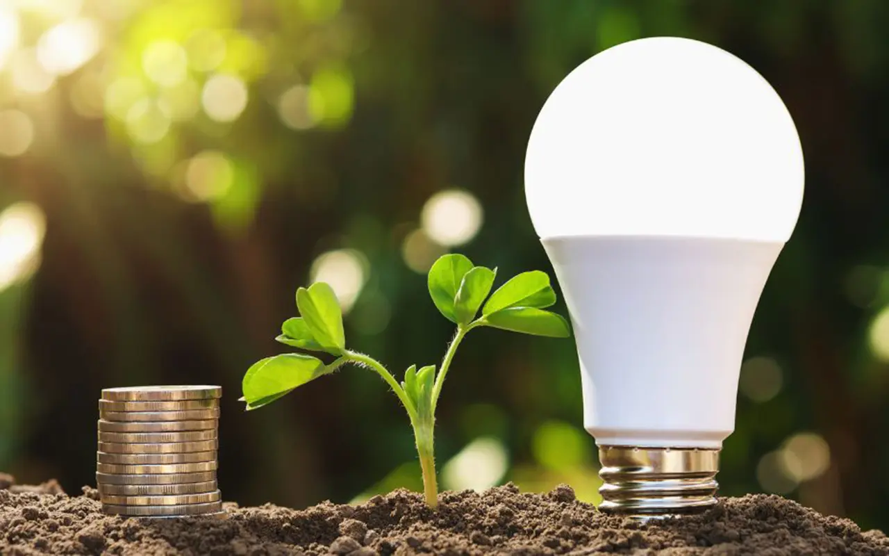 Environmental Benefits of Reusing LED Lights