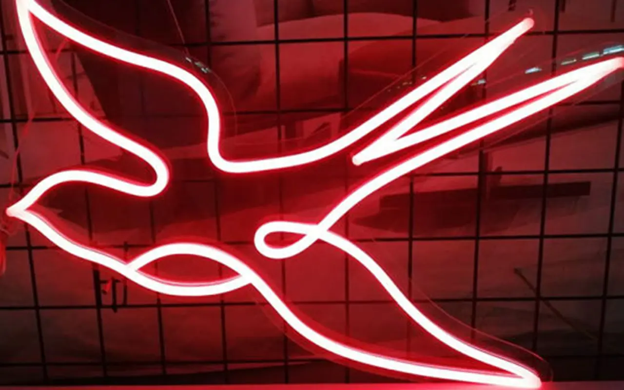 Red LED neon light