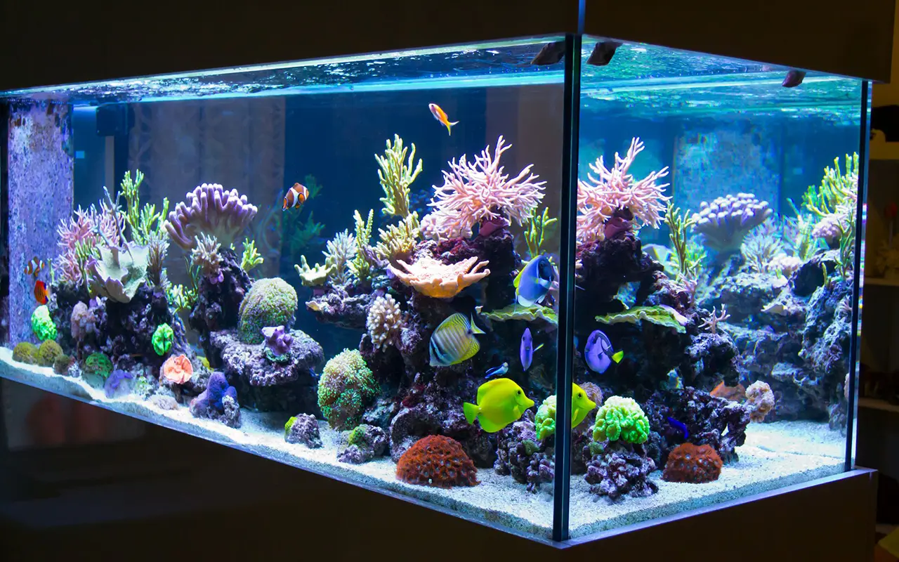 Aquarium LED Strip Lighting