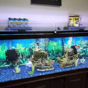 put LED Strip Lights in a Fish Tank