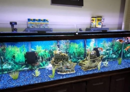 LED-stripverlichting in een aquarium plaatsen