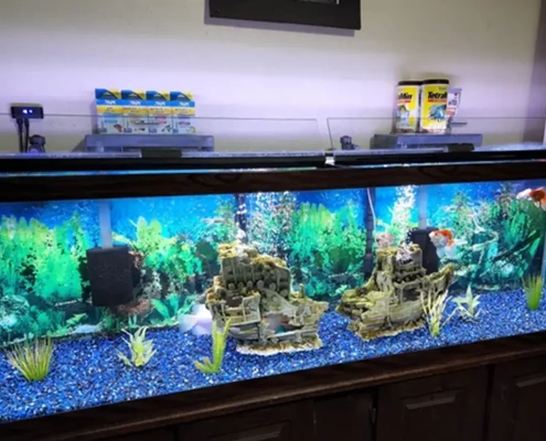 put LED Strip Lights in a Fish Tank