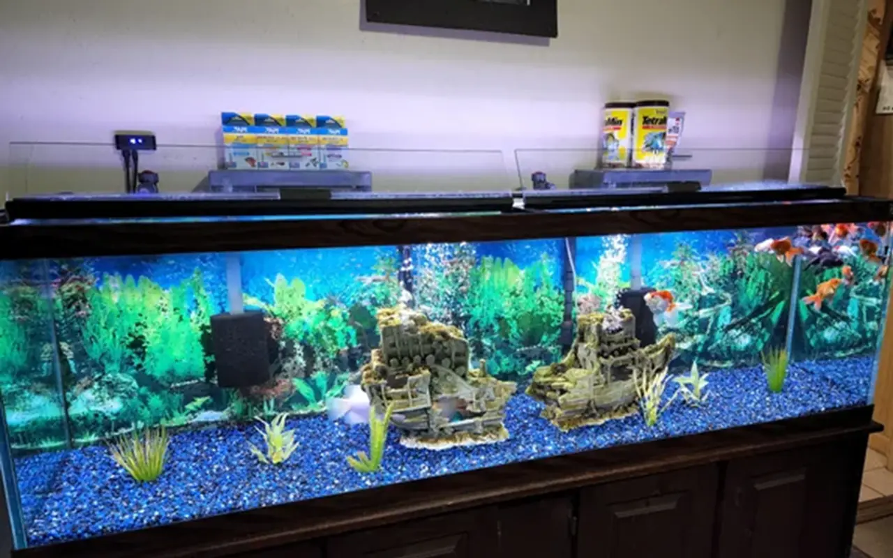 tegye LED szalagfények egy akváriumban