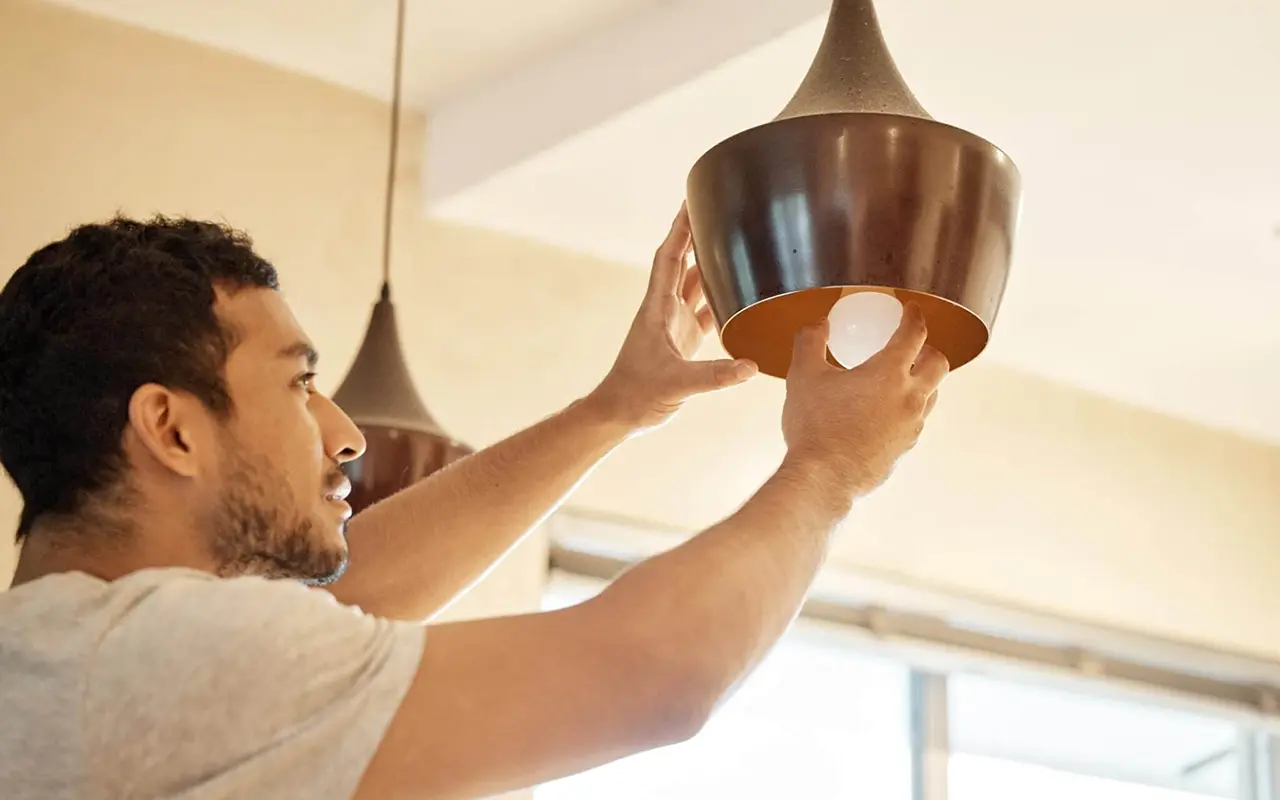 31. Use Energy Efficient Bulbs