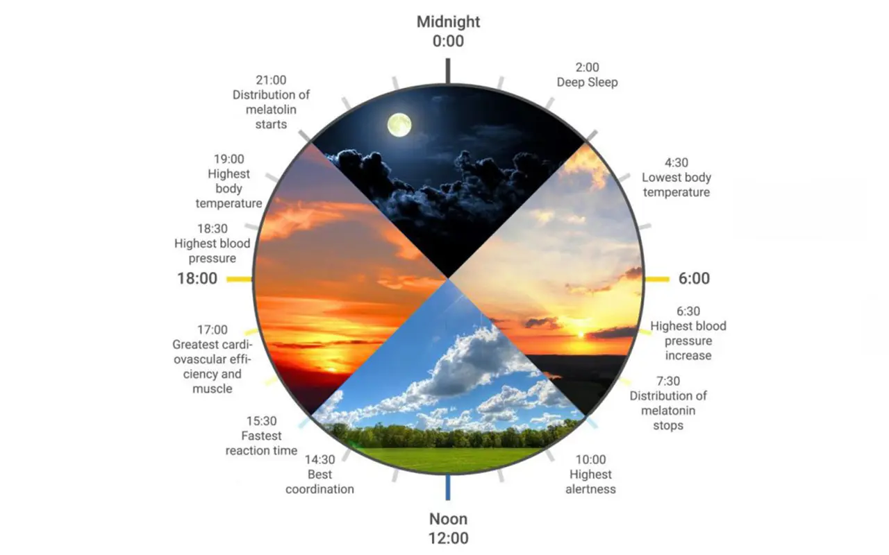 Human-Centric Lighting (HCL)