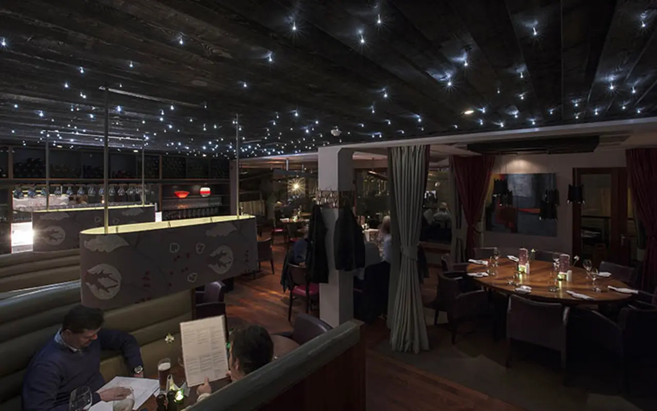 7. Fiber Optic Lights