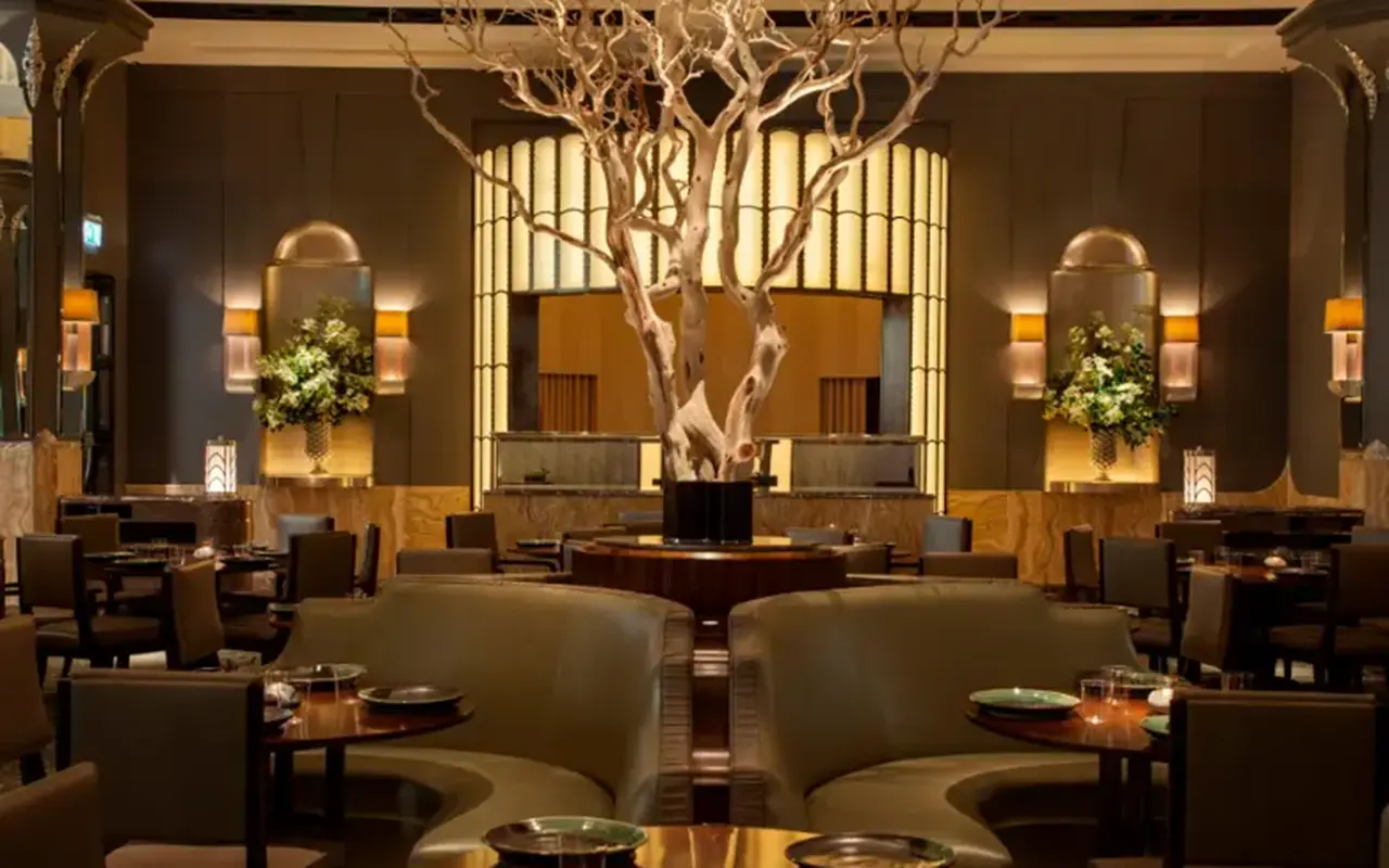 Why is Good Lighting Important in a Restaurant