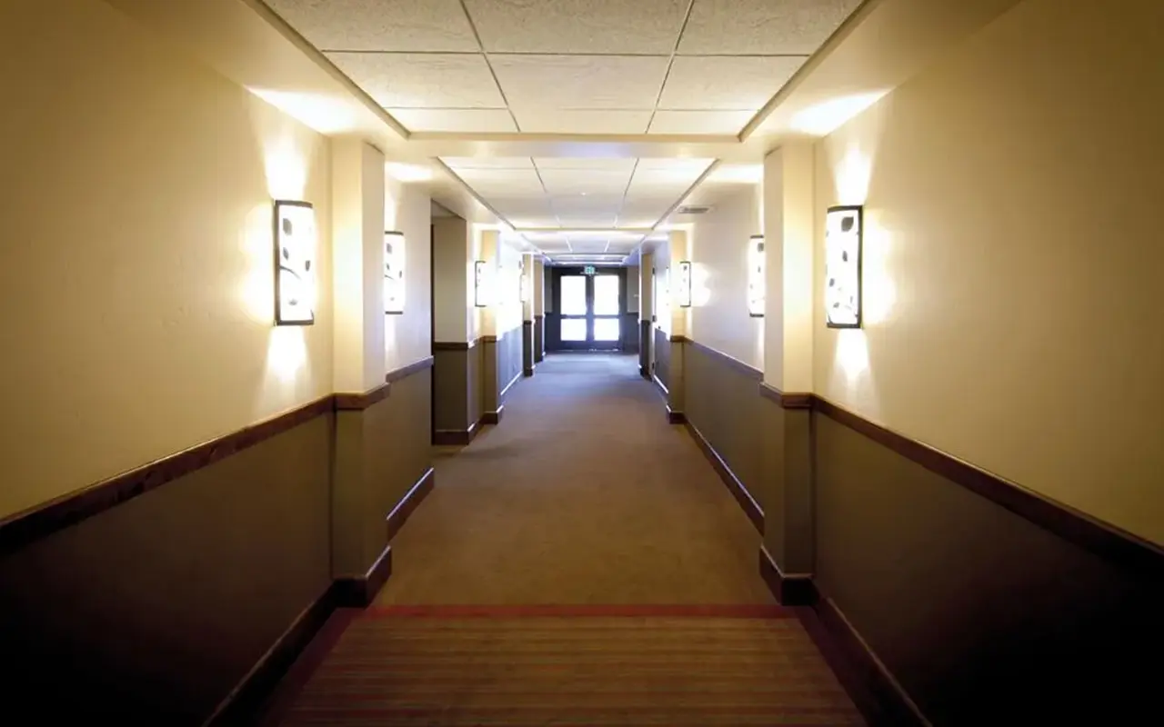 Understanding the Essentials of Emergency Lighting