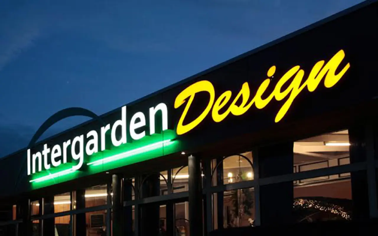 Design Flexibility: How LEDs Unlock New Creative Possibilities