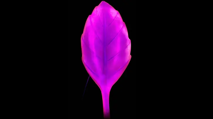 Artificial leaves 2