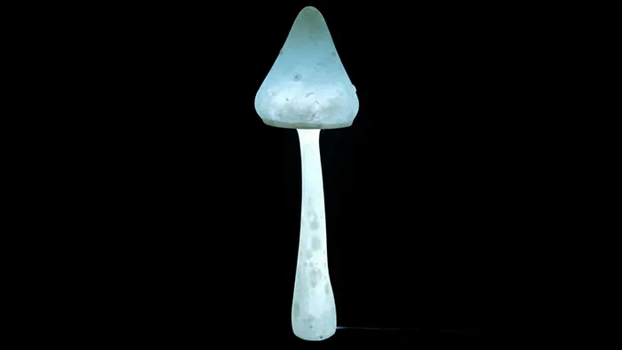 Mushroom 1