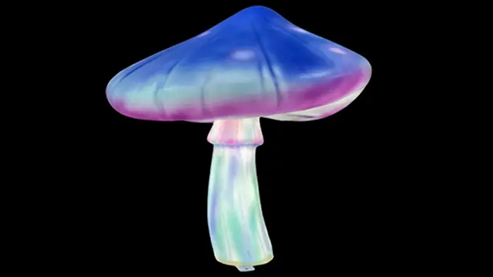 Mushroom 2